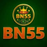 BN55